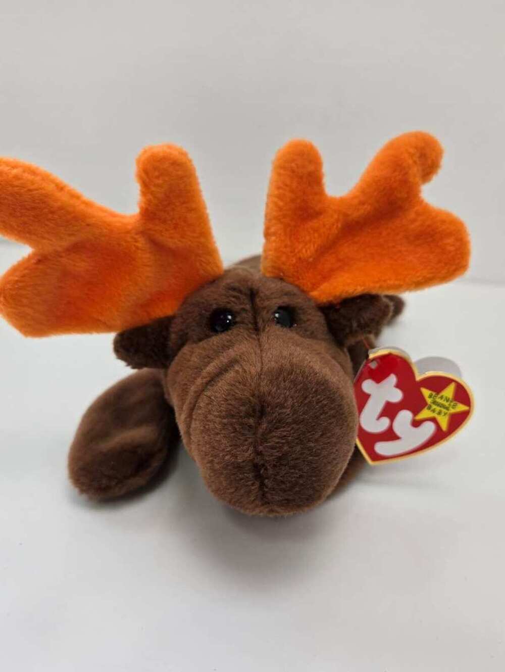 Ty Beanie Baby βChocolateβ the Moose (9 inch)